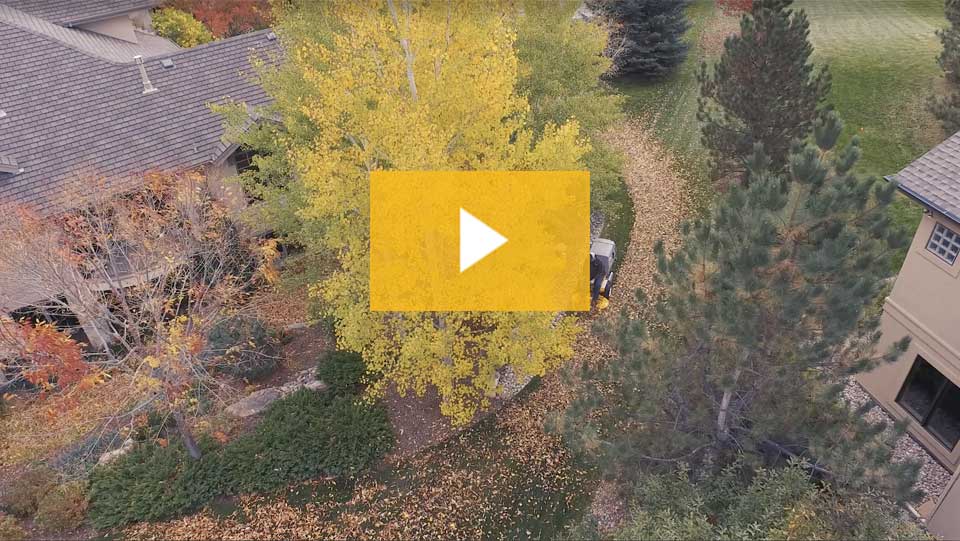 Leaf Cleanup Video
